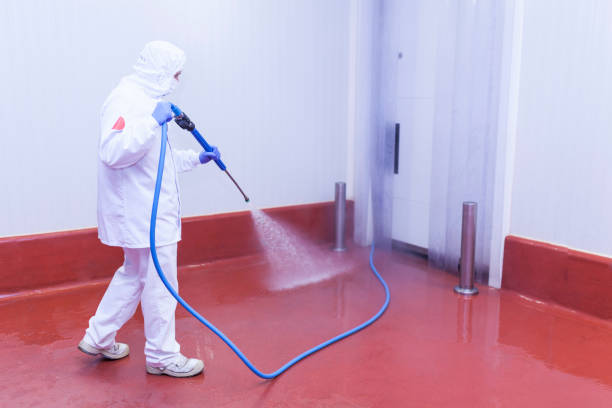Best Oil Spill Cleanup  in Roosevelt, NJ